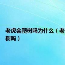 老虎会爬树吗为什么(老虎会爬树吗)