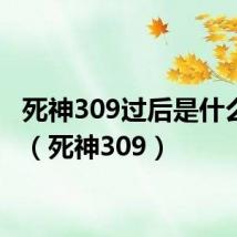 死神309过后是什么故事(死神309)