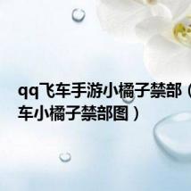 qq飞车手游小橘子禁部(qq飞车小橘子禁部图)