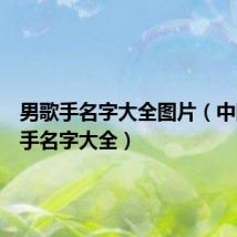 男歌手名字大全图片(中国男歌手名字大全)