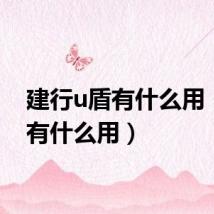 建行u盾有什么用(u盾有什么用)