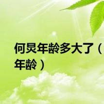 何炅年龄多大了（何炅年龄）