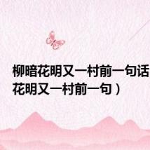 柳暗花明又一村前一句话(柳暗花明又一村前一句)