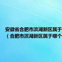 安徽省合肥市滨湖新区属于什么区(合肥市滨湖新区属于哪个区)