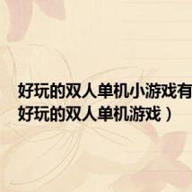 好玩的双人单机小游戏有哪些(好玩的双人单机游戏)