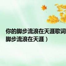 你的脚步流浪在天涯歌词(你的脚步流浪在天涯)