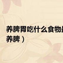 养脾胃吃什么食物最好(养脾)