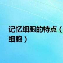 记忆细胞的特点(记忆细胞)