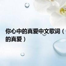 你心中的真爱中文歌词(你心中的真爱)