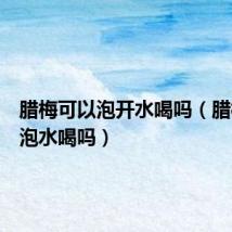 腊梅可以泡开水喝吗(腊梅可以泡水喝吗)