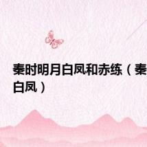 秦时明月白凤和赤练(秦时明月白凤)