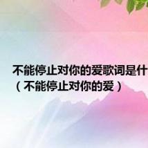 不能停止对你的爱歌词是什么意思(不能停止对你的爱)