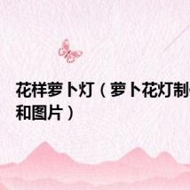 花样萝卜灯(萝卜花灯制作步骤和图片)