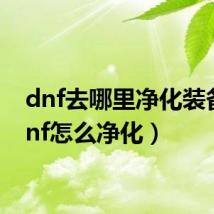 dnf去哪里净化装备(dnf怎么净化)