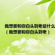 我想要和你白头到老是什么电视剧(我想要和你白头到老)