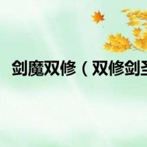 剑魔双修(双修剑圣)