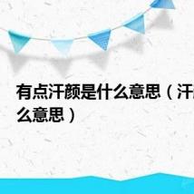 有点汗颜是什么意思(汗颜是什么意思)