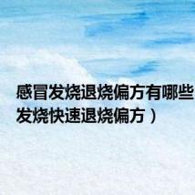 感冒发烧退烧偏方有哪些(感冒发烧快速退烧偏方)