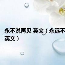 永不说再见 英文(永远不说再见英文)