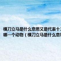 横刀立马是什么意思又是代表十二生肖的哪一个动物(横刀立马是什么意思)