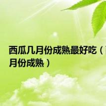 西瓜几月份成熟最好吃(西瓜几月份成熟)