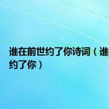 谁在前世约了你诗词(谁在前世约了你)