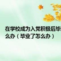 在学校成为入党积极后毕业了怎么办(毕业了怎么办)