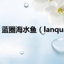 蓝圈海水鱼(lanquan)
