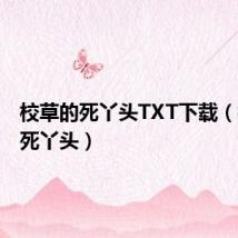 校草的死丫头TXT下载(校草的死丫头)