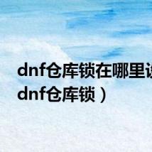 dnf仓库锁在哪里设置(dnf仓库锁)