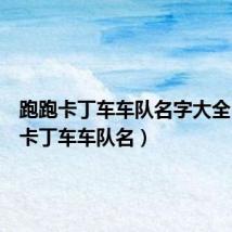 跑跑卡丁车车队名字大全(跑跑卡丁车车队名)