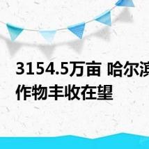 3154.5万亩 哈尔滨粮食作物丰收在望