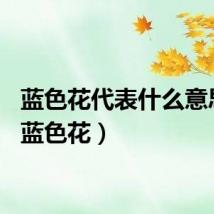 蓝色花代表什么意思啊（蓝色花）