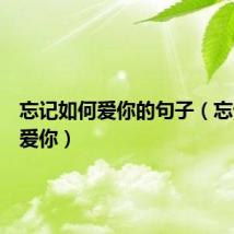 忘记如何爱你的句子(忘记如何爱你)