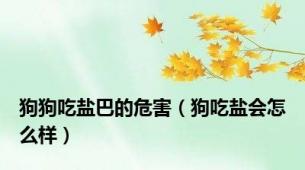 狗狗吃盐巴的危害（狗吃盐会怎么样）