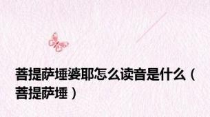 菩提萨埵婆耶怎么读音是什么（菩提萨埵）