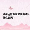 string什么意思怎么读（string什么意思）