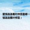 爱情连连看叶梓萱是哪一期（爱情连连看叶梓萱）