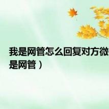我是网管怎么回复对方微信(我是网管)