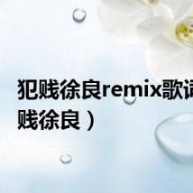 犯贱徐良remix歌词(犯贱徐良)