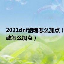 2021dnf剑魂怎么加点(dnf剑魂怎么加点)