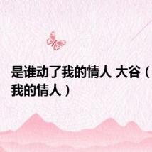 是谁动了我的情人 大谷(谁动了我的情人)