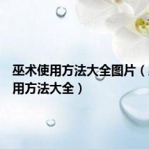 巫术使用方法大全图片(巫术使用方法大全)
