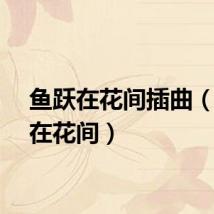 鱼跃在花间插曲（鱼跃在花间）