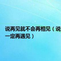 说再见就不会再相见(说再见不一定再遇见)