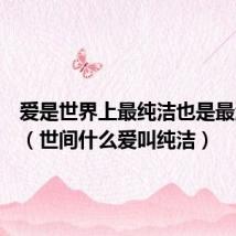 爱是世界上最纯洁也是最温暖的(世间什么爱叫纯洁)