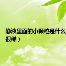 静液里面的小颗粒是什么(静液很稀)