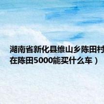湖南省新化县维山乡陈田村邮编(在陈田5000能买什么车)