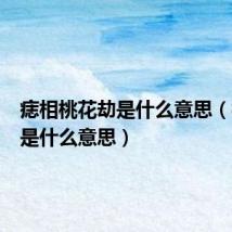 痣相桃花劫是什么意思(桃花劫是什么意思)