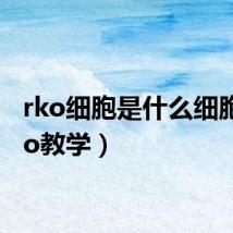 rko细胞是什么细胞(rko教学)